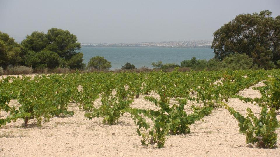 Lovely Apartment Near The Beach In Sunny La Mata Torrevieja Ngoại thất bức ảnh